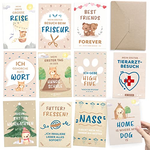 Kipitan Geschenk für Hundebesitzer: 30 Meilensteinkarten für Hund, Frauchen & Herrchen – als Hundetagebuch und Erinnerung an das erste gemeinsame Jahr